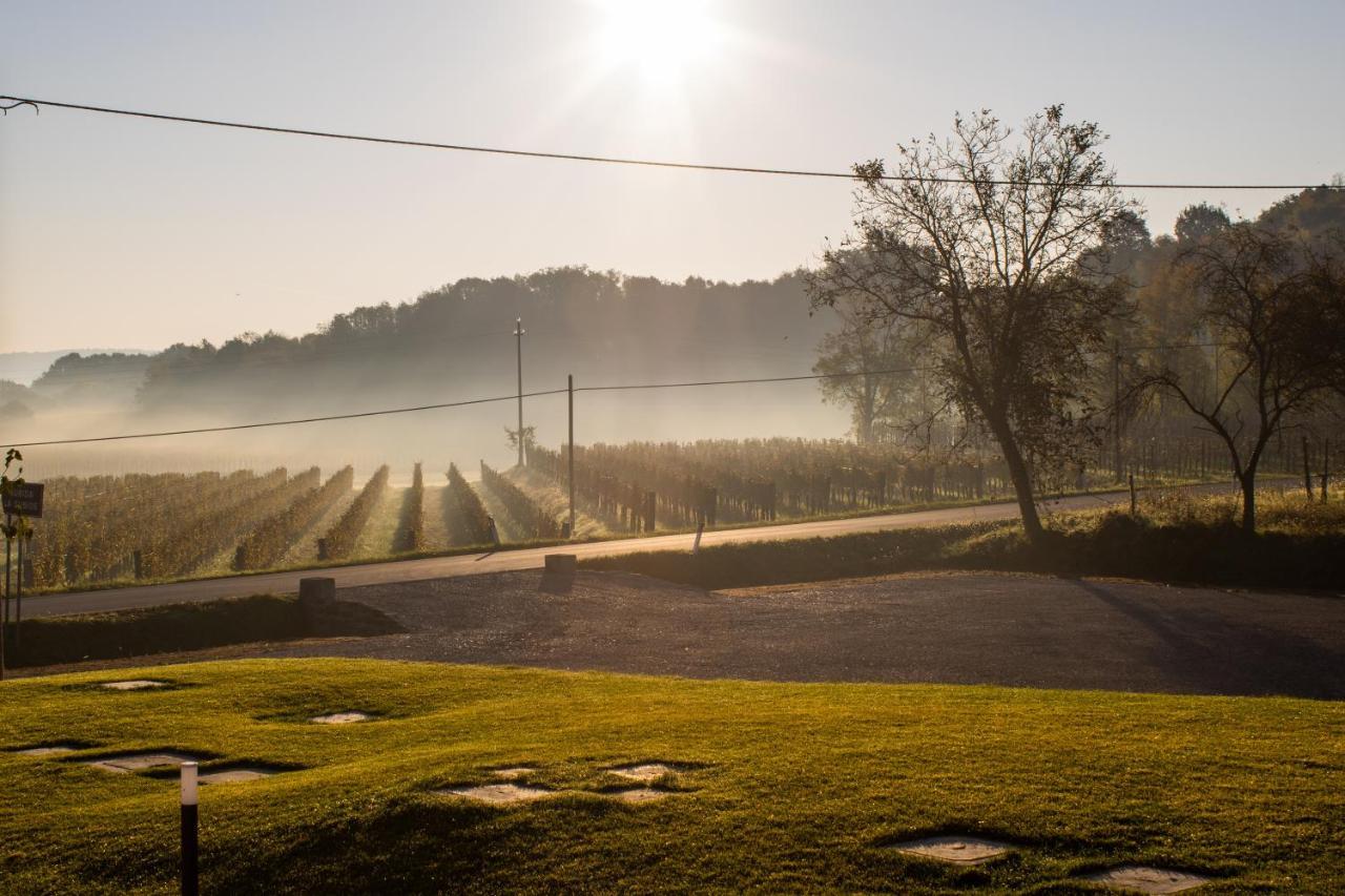 Cruna Di Subida Wine Country House Кормонс Экстерьер фото