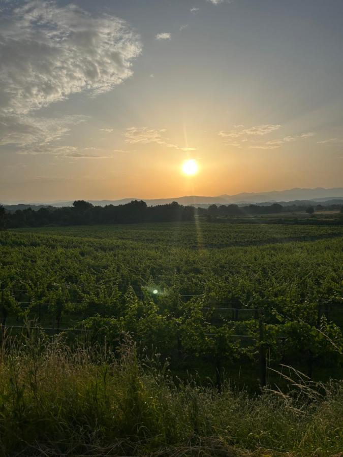 Cruna Di Subida Wine Country House Кормонс Экстерьер фото