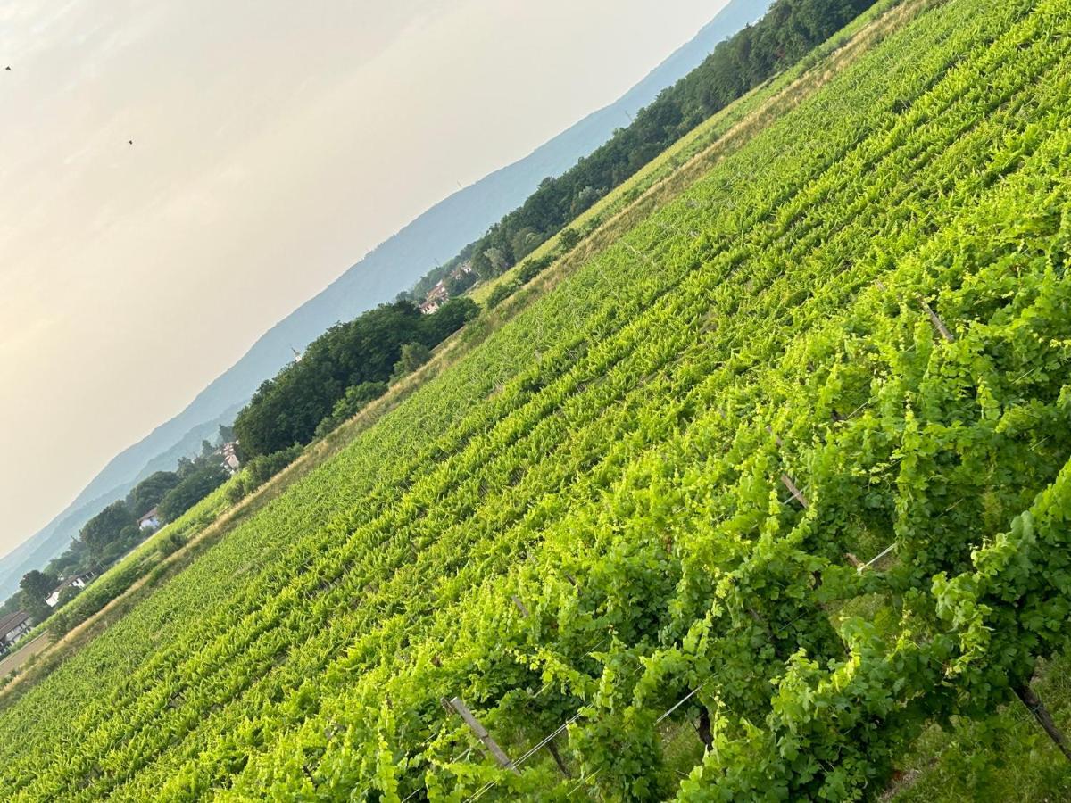 Cruna Di Subida Wine Country House Кормонс Экстерьер фото